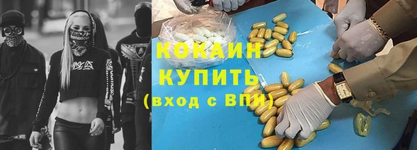 ГАЛЛЮЦИНОГЕННЫЕ ГРИБЫ Дмитриев