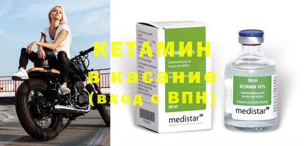 ГАЛЛЮЦИНОГЕННЫЕ ГРИБЫ Дмитриев