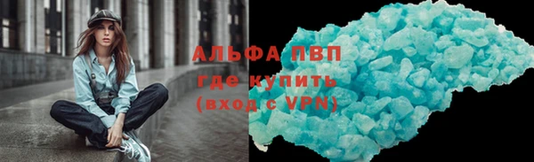 ГАЛЛЮЦИНОГЕННЫЕ ГРИБЫ Дмитриев
