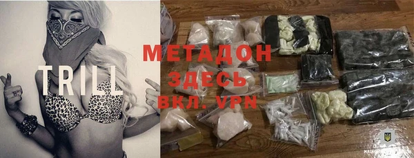 ГАЛЛЮЦИНОГЕННЫЕ ГРИБЫ Дмитриев