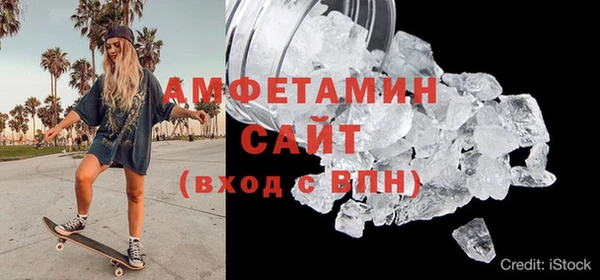 ГАЛЛЮЦИНОГЕННЫЕ ГРИБЫ Дмитриев
