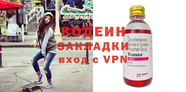 ГАЛЛЮЦИНОГЕННЫЕ ГРИБЫ Дмитриев