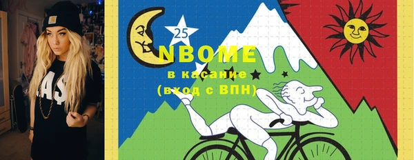 ГАЛЛЮЦИНОГЕННЫЕ ГРИБЫ Дмитриев