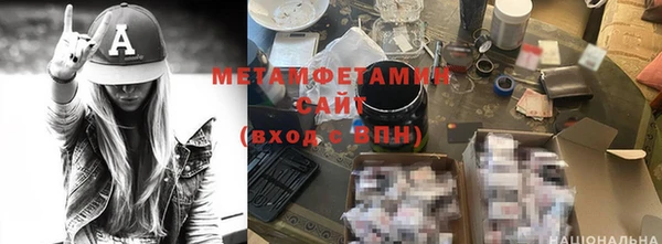 ГАЛЛЮЦИНОГЕННЫЕ ГРИБЫ Дмитриев