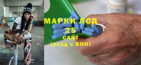 крисы Гатчина