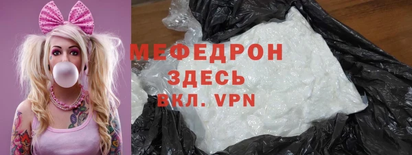ГАЛЛЮЦИНОГЕННЫЕ ГРИБЫ Дмитриев