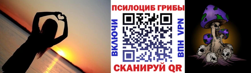 Галлюциногенные грибы GOLDEN TEACHER  цена наркотик  Дубовка 